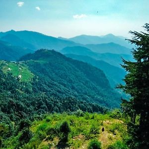 Hotel Bliss Valley Dharamshala - Beautiful View Of Mountains From Rooms